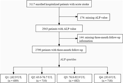 Non-Linear Association Between Serum Alkaline Phosphatase and 3-Month Outcomes in Patients With Acute Stroke: Results From the Xi'an Stroke Registry Study of China